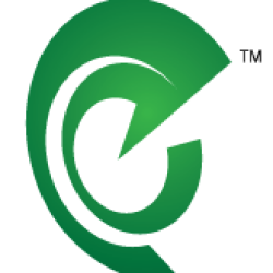 THE RADIO GROUP